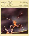 EO Wilson Ants