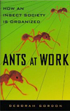 Deborah Gordon Ants at Work