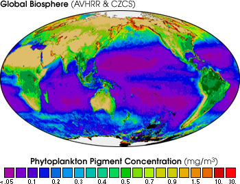 diagram of levels of phytoplankton in the global biosphere